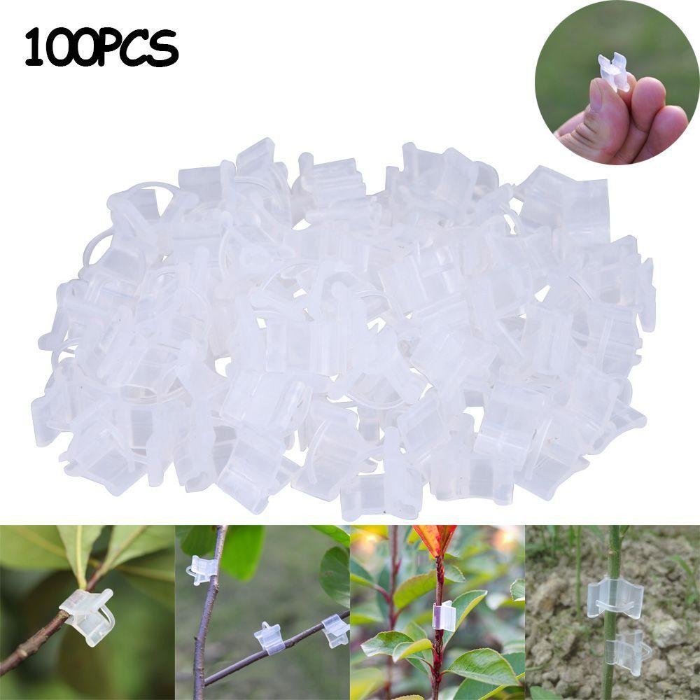 100 шт. инструментов для прививки, зажим для прививки, пластиковый зажим для прививки, новые зажимы для поддержки растений