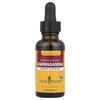 Ashwagandha, Alcohol Free, 30Ml (1Fl Oz)