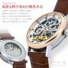 Daniel Douglas Watch Automatic Mechanical DD8806 Automatic Skeleton DANIEL&DOUGLAS Men's (DD8806-BK)