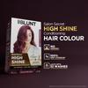 BBLUNT Salon Secret High Shine Conditioning Hair Colour With BondTech™ For Strong Shiny Hair - Wine Deep Burgundy 4.20