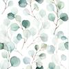 Eucalyptus Leaf Peel And Stick Wallpaper Green Leaf Self Adhesive Contact Paper for Home Nursery Decor Wall Mural
