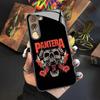 Чехол для телефона Pantera Ritual Metal Band для Samsung Galaxy S24 S23 S22 S21 S20 A24 A34 A54 A53 Note20 M54 Fe Ultra Plus Стекло