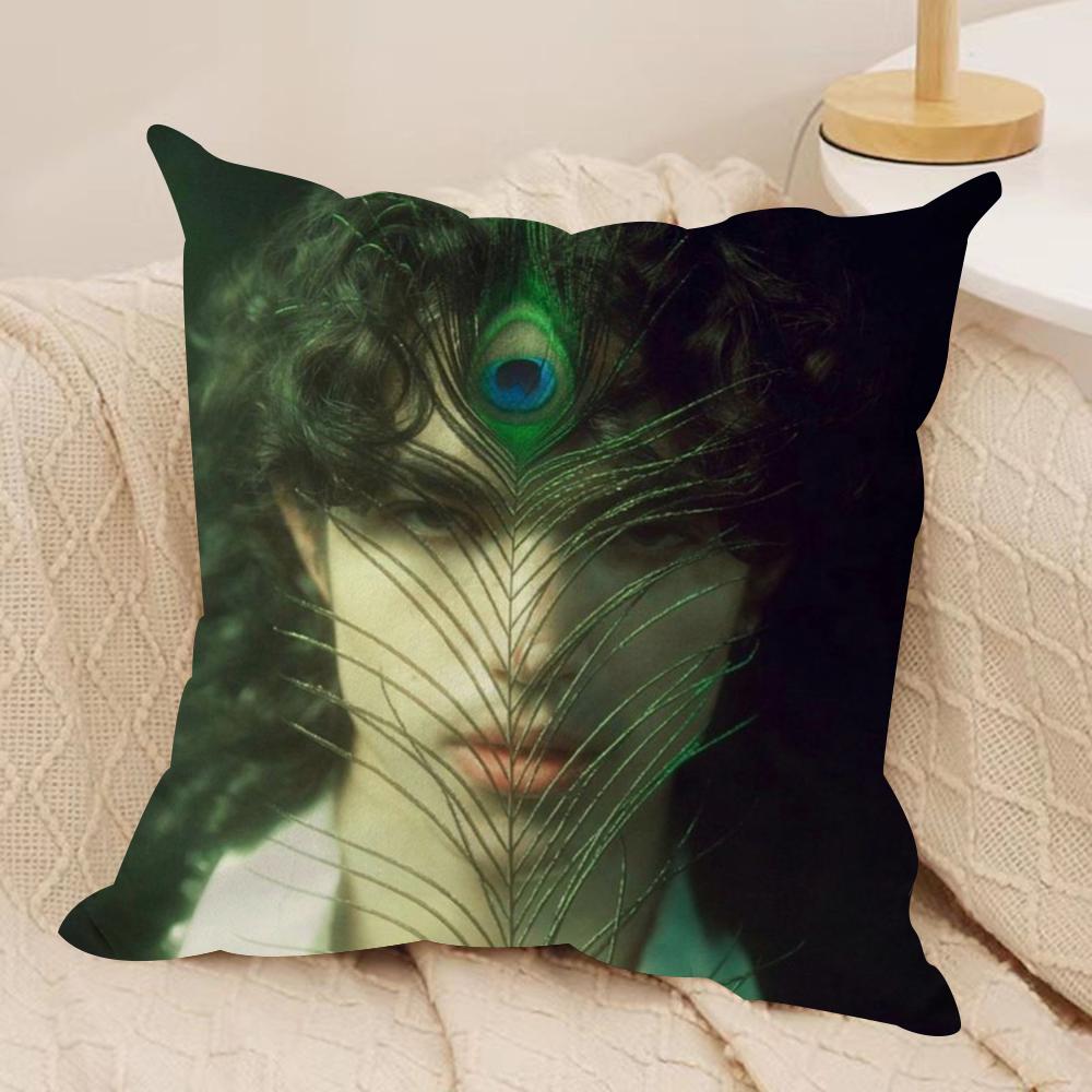 Conan Gray Holidays Cushion Cover Silky Short Plush DoubleSided Printed Pillow Case for Sofa All Seasons Home Decor Gift
