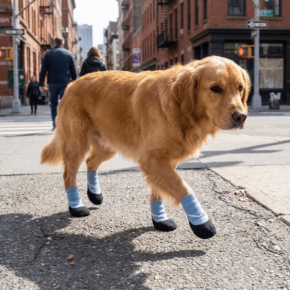 4PCS Breathable Non-slip Dog Shoes Waterproof Pet Paw Protector Soft Pet Knitted Socks Walking