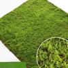 Artificial Turf Moss Simulation Grassland Fake Grass Lawn Carpet Artificial Musgo Turf Synthetic Grass Outdoor Garden Decoration