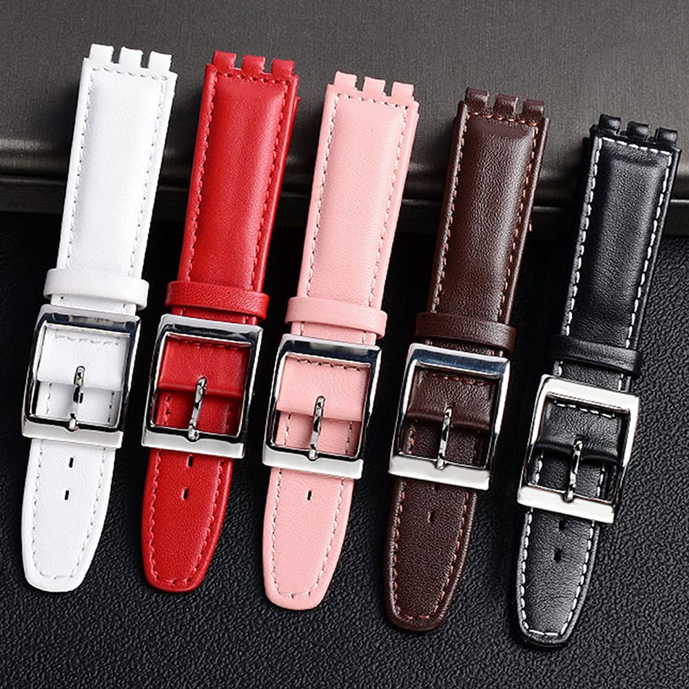 ZHUOLEI Swatch Watch Includes 3 Spring Spring Bar and Box Strap, 17mm/19mm, White, Bars, Remover,