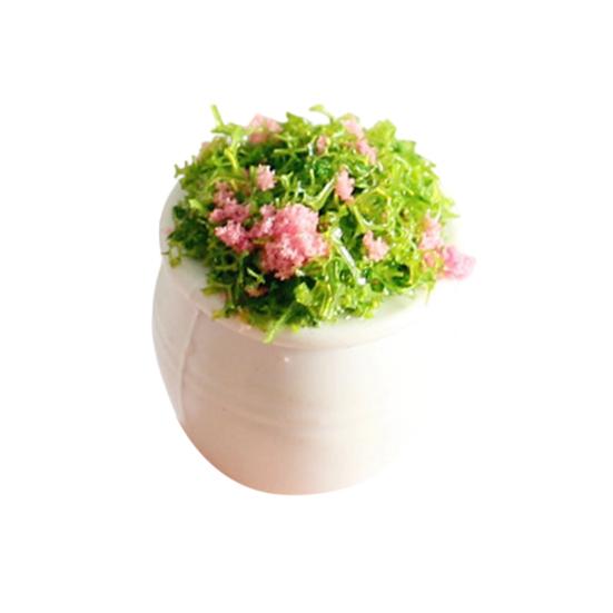 Мини-модель растения Масштаб 1/12 Домики для кукол Растения Реалистичные Микропластиковые горшки для домиков кукол Садовые аксессуары Сказочный сад Декор патио Миниатюрный