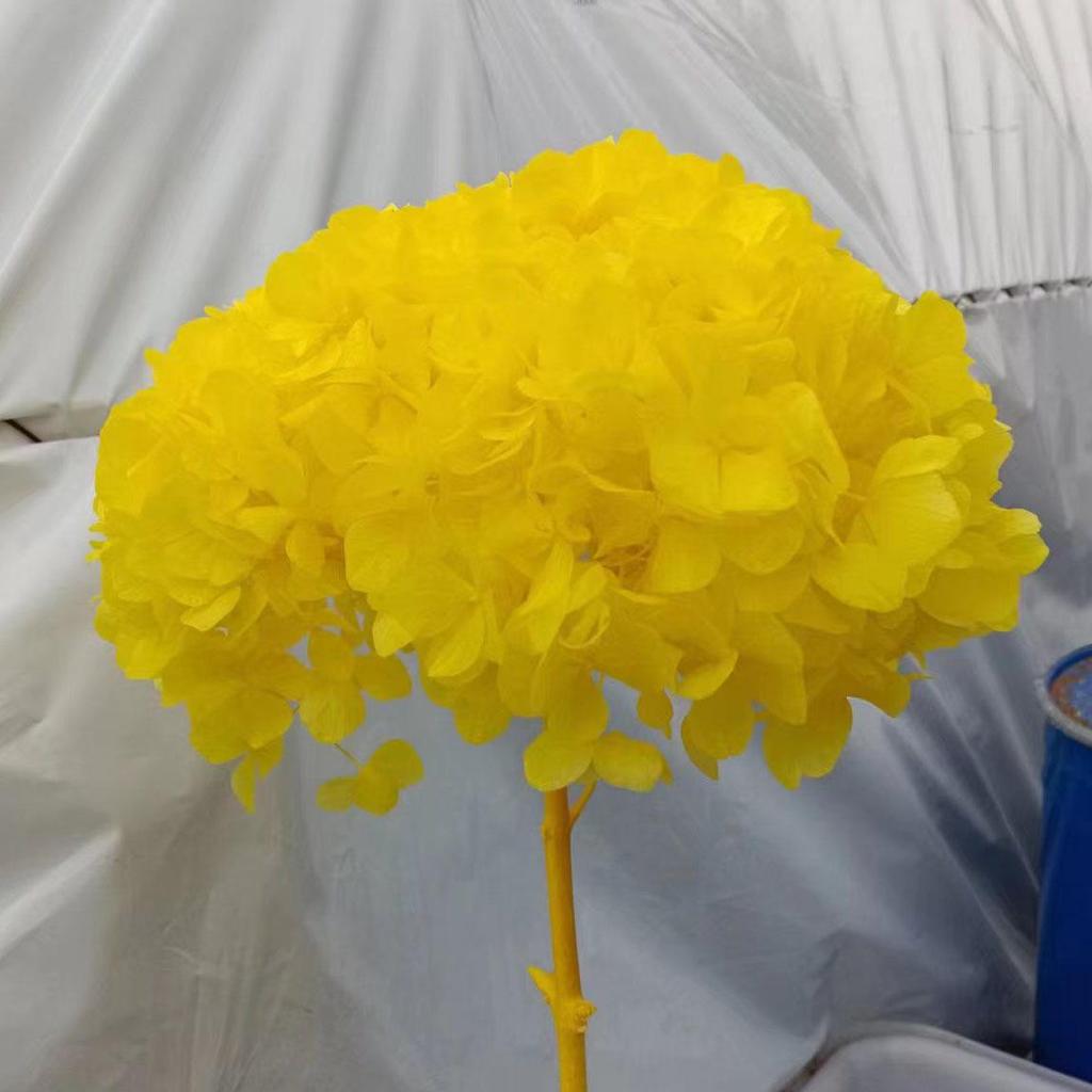 Multi-Color Preserved Bigleaf Hydrangea Single Stem Flower Bouquet for Home Decoration