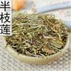 Scutellaria Barbata Ban Zhi Lian 250g Chinese Herb Scutellaria Skull Cap Herb