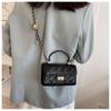 Small Square Bag Women's 2024 New Crossbody Bag Ladies Fashionable Simple Handbag