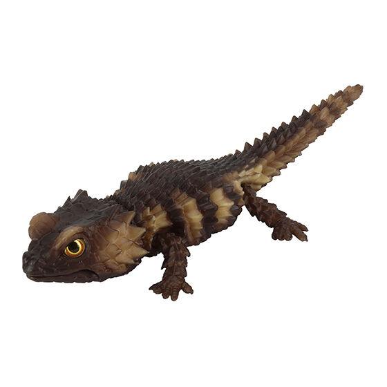 Japanese Genuine Gacha Scale Model Great Biological Encyclopedia Series Reptiles Armadillos Guard Lizards Action Figure Toys