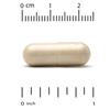 Immune Supplement, Contains Arabinogalactan, Mushroom Extract, Eleutherococcus Gallus Extract, Green Tea Extract, 60 Veggie Capsules