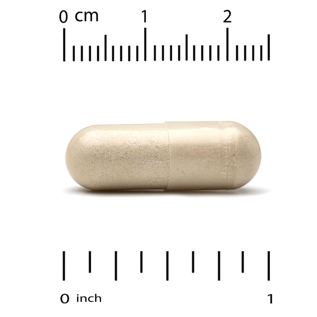 Immune Supplement, Contains Arabinogalactan, Mushroom Extract, Eleutherococcus Gallus Extract, Green Tea Extract, 60 Veggie Capsules