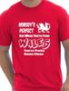 Nobody's Perfect But When Your're From Wales Rugby Father's Day Mens Birthday Novelty Funny T-Shirt Classic T-shirt