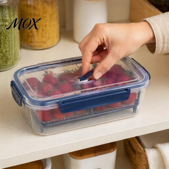 Breathable Food Container Crisper Box, with Mesh Drain Strainer, Tofu Whey Refrigerator Organizer Bin Separation Container, for Fresh Fruit Vegetable
