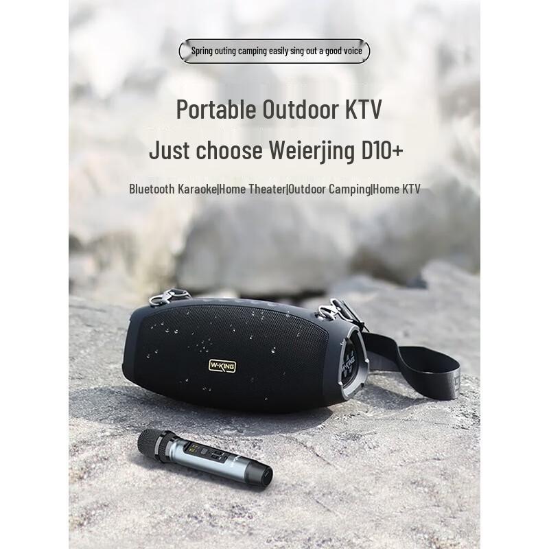 W-King D10+ Portable Bluetooth KTV Speaker