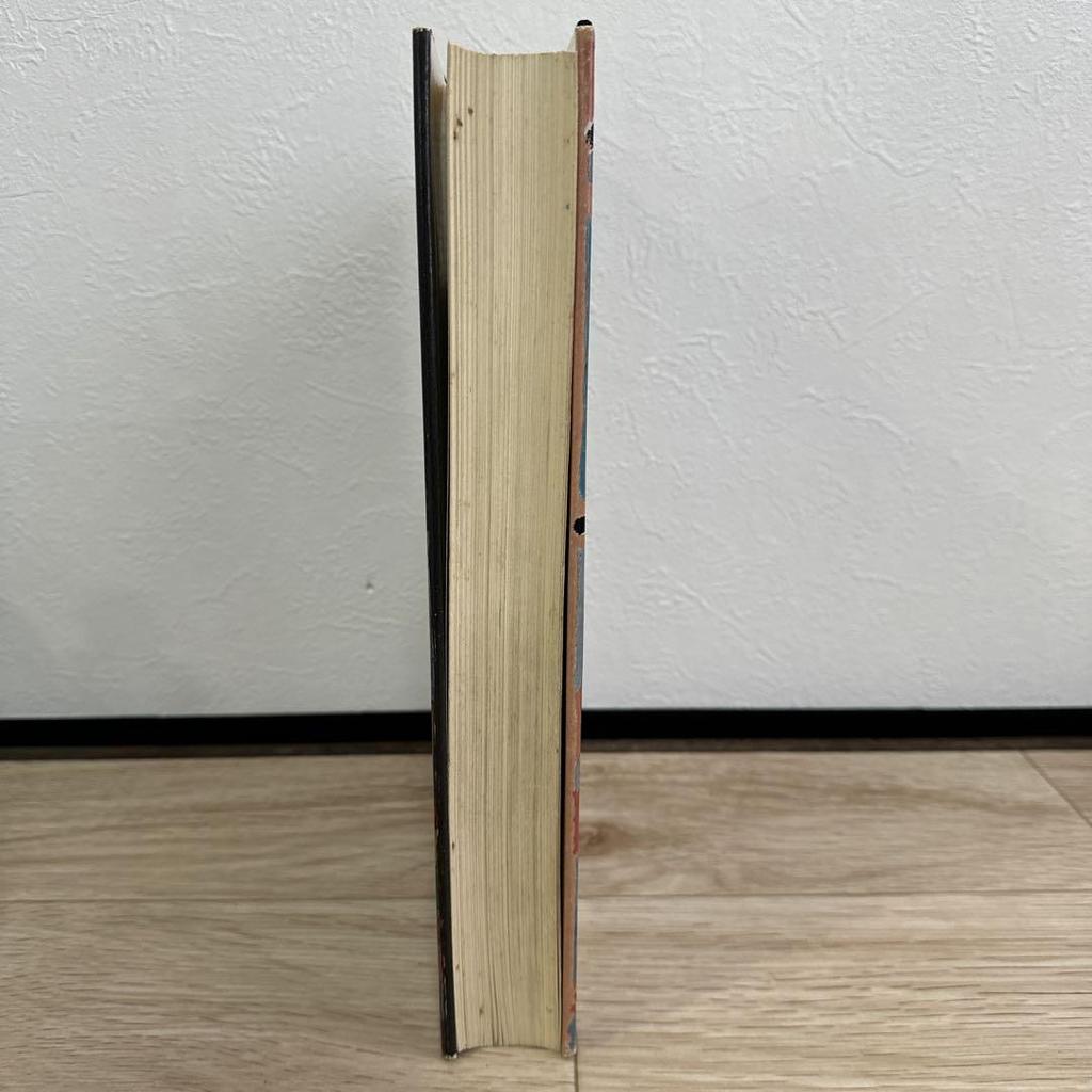 [USED] PAUL KLEE Paul Klee Used Books Foreign Books Rare