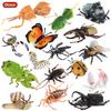 Oenux Wild Insect Animals Model Mantis Grasshopper Butterfly Bee Beetle Action Figures PVC Science Education Collection Kid Toy