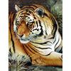 5D DIY алмазная живопись животное горный хрусталь Тигр Алмазная вышивка настенная картина мозаика украшение дома подарок ручной работы комплект