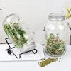 Крышка для проращивания семян с широким горлышком 82 мм, крышка для проращивания, крышка для банки для рассады гидропонных овощей и бобов с сеткой для дренажа