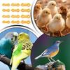 12PCS Leg Correction Bands for Chicks Quails Ducks - Splay Leg Hobble Brace Support, Easy to Use Poultry Leg Bands for Small Birds