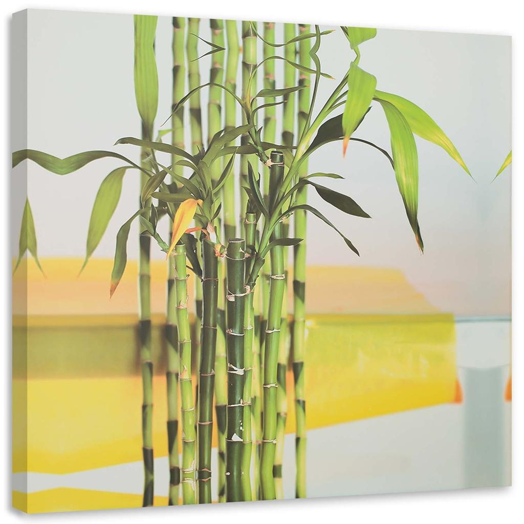 Canvas Print Bamboo Leaves Zen Spa
