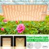 5000W Ultra Thin Grow Light Led Full Spectrum Lamp Led Plant Light Bulb Greenhouses Indoor Phyto Lamp Grow Tent