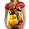 Футболка с 3d принтом «Птицы и попугаи», женские модные футболки, топы большого размера, футболки, женская одежда, милая футболка, женская одежда, уличная одежда