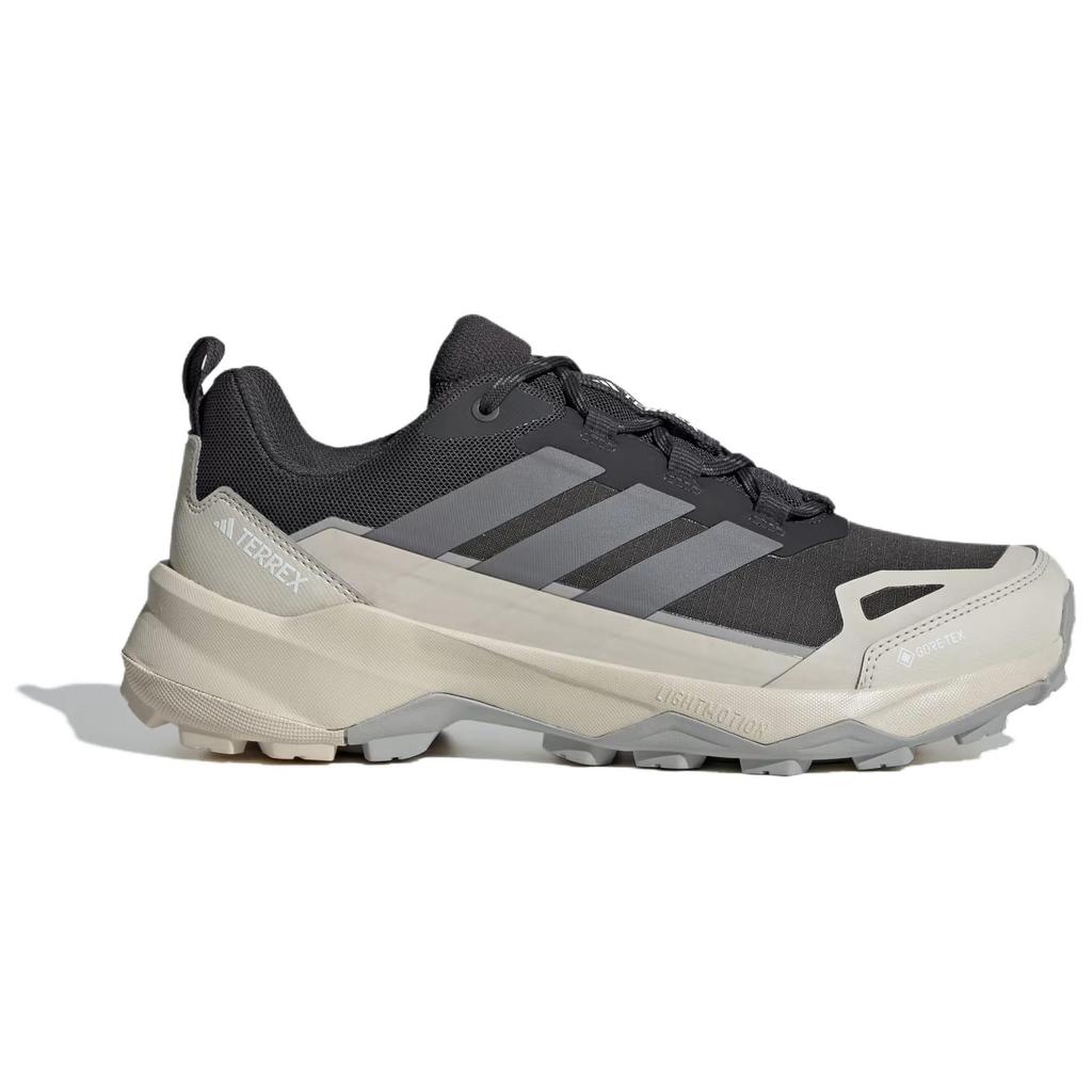 Adidas Terrex Skychaser AX5 GORE TEX 'Carbon Alumina' Sneakers JQ6724