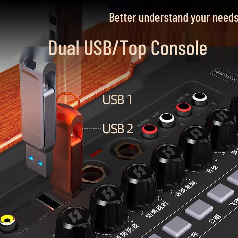 Sansui G12 High-Power Portable Karaoke Speaker