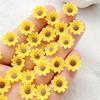 50 шт. Новые смешанные смолы для нейл-арта, желтые хризантемы, дизайнерские шармы, стразы, DIY крафт для 3D украшений для ногтей
