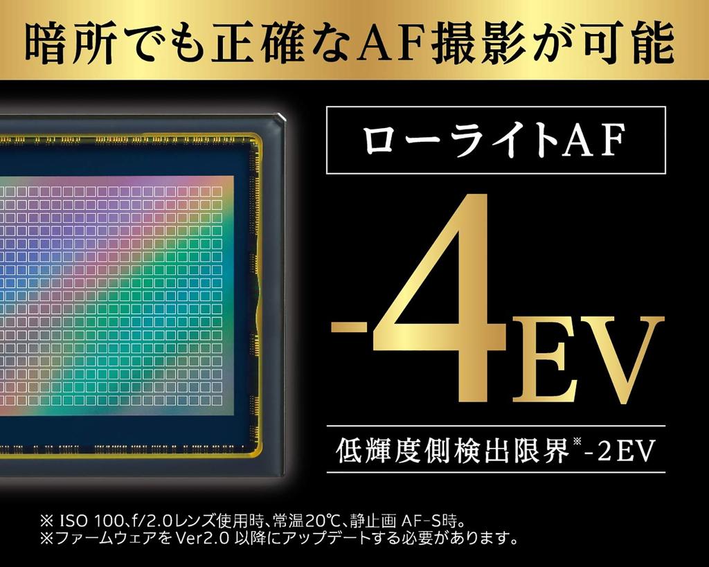 Nikon Беззеркальная камера с одним объективом Z7 body