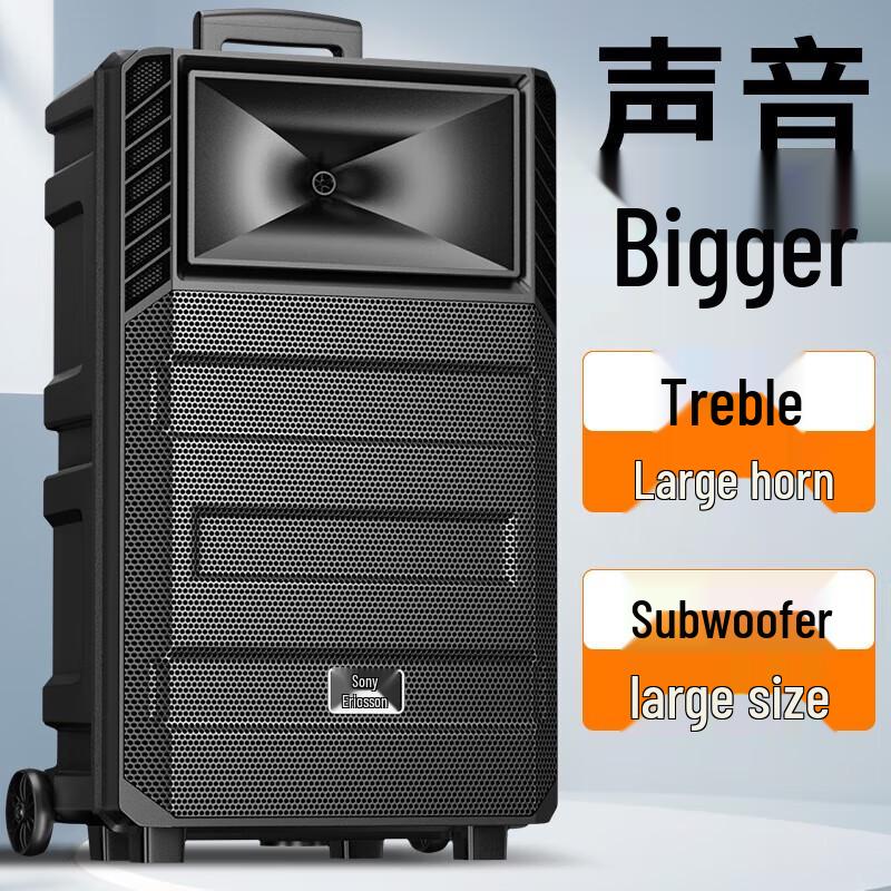 Suoai 12-inch Portable Bluetooth KTV Speaker