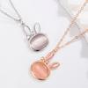 Year of The Rabbit Cute Rabbit Pendant Cute Light Luxury Jewelry Clavicle Chain Tide Temperament Styling