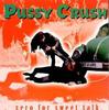 CD PUSSY CRUSH - Zero For Sweet Talk SFTRI430 Sympathy For Th 1996 Japan Rock Used