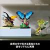 LEGO Ideas Insect Collection Toy Building Blocks for Kids and Adults 21342