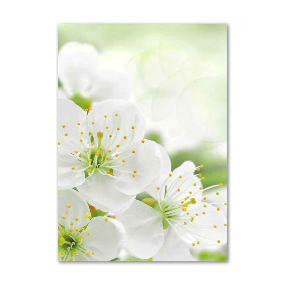 Spring Sunflower Sakura Windmill Farmhouse Church Green Landscape Poster Wall Art Canvas Painting For Living Room Home Decor