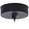 Black and gold metal hanging lamp