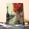 DIY картина по номерам хобби ремесла искусство цифры живопись украшение дома цифровая картина маслом