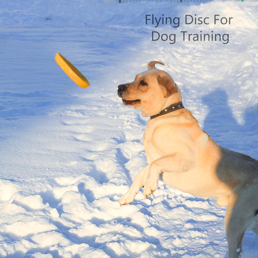 Игрушки для собак и кошек: летающий диск, кольцо, мяч с веревкой