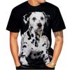 Футболки с 3D-принтом «Далматинцы», модные мужские и женские забавные футболки с коротким рукавом в стиле хип-хоп, большие футболки Harajuku Y2k, детские топы, одежда
