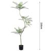 Artificial Indoor Plants & Trees: Monstera, Areca Palm, Jacaranda, Nandina, Rubber Fig - Free Shipping