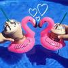 Air Mattresses for Cup Inflatable Flamingo Drinks Cup Holder Pool Floats Bar Coasters Floatation Devices Cute Toy Drink Holder