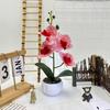 Faux Flower Phalaenopsis Bonsai Desk Decor For Home Office Decoration Wedding