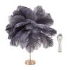 Ostrich Feather Table Lamp Rechargeable Modern Romantic Decoration Lamp Bedroom Bedside Lamp for