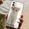 Для чехла Vivo Y72 5G Чехол Силиконовая задняя крышка Чехол для телефона Для чехлов Vivo Y72 5G Мягкий бампер Funda для Vivo Y 72 5G 6.58" Корпуса