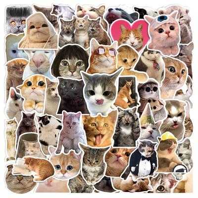 50 шт. Милые наклейки с мемами про котиков для телефона, ноутбука, чемодана, блокнота, скейтборда, водонепроницаемые наклейки