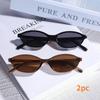 2pcs Plastic Frame Metal Hinge Vintage Oval Small Unisex Glasses for Men Women Hiking Street Pography Casual