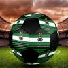 Borussia Indoor Soccer Ball Colorful Machine Stitched PVC Size 5 Team Training Competition Ready Durable High-Bounce Cool Sports Gift