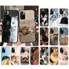 Чехол для телефона для Xiaomi Poco C71 15T 14T Pro Redmi note 15 14 14 13 Pro Redmi A5 15C 13C Котёнок